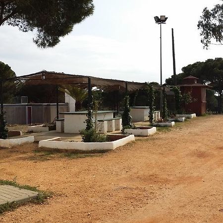 Albergue Rural Territorio Del Gato El Rompido Dış mekan fotoğraf