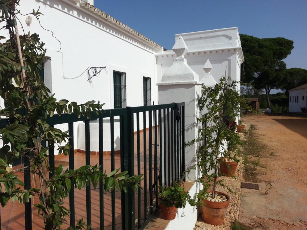 Albergue Rural Territorio Del Gato El Rompido Dış mekan fotoğraf